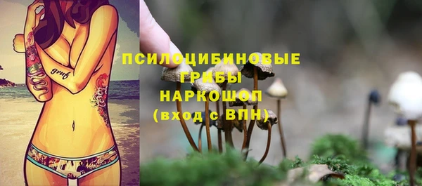 синтетический гашиш Белокуриха