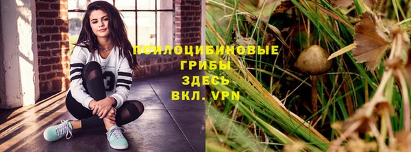 прущие крисы Богородск