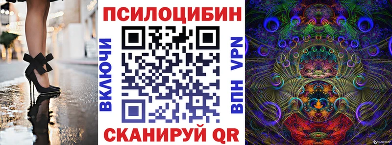 Псилоцибиновые грибы Psilocybine cubensis  закладки  Меленки 